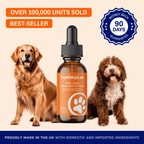Daily Dog Supplement