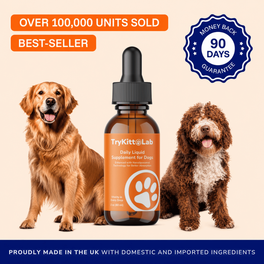 Daily Dog Supplement