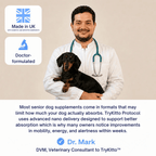 Daily Dog Supplement
