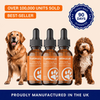 Daily Dog Supplement